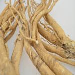 Astragalus membranaceus root